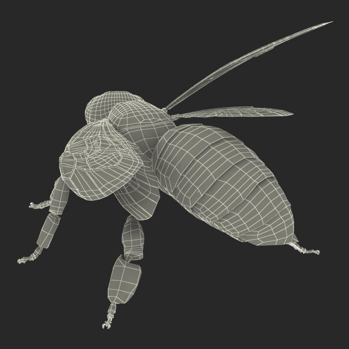 3D model Bee Pose 2