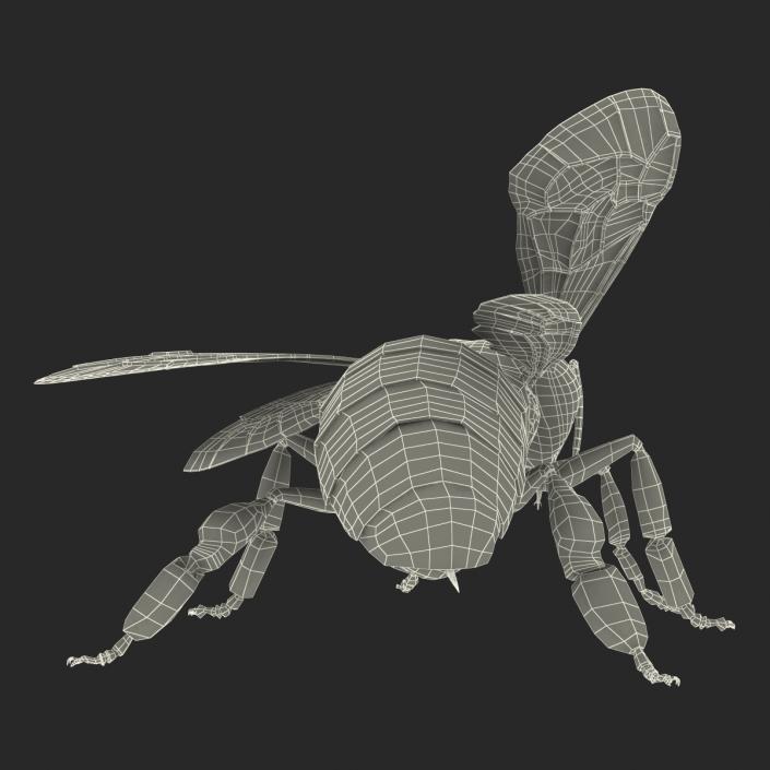 3D model Bee Pose 2