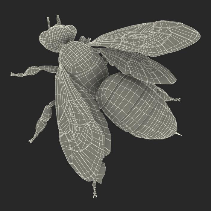 3D model Bee Pose 2