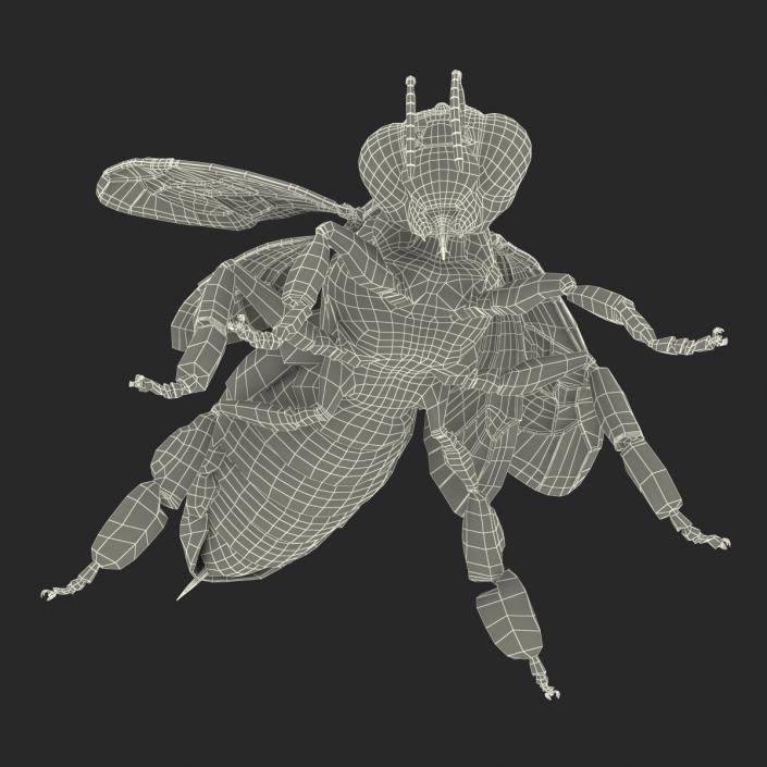 3D model Bee Pose 2