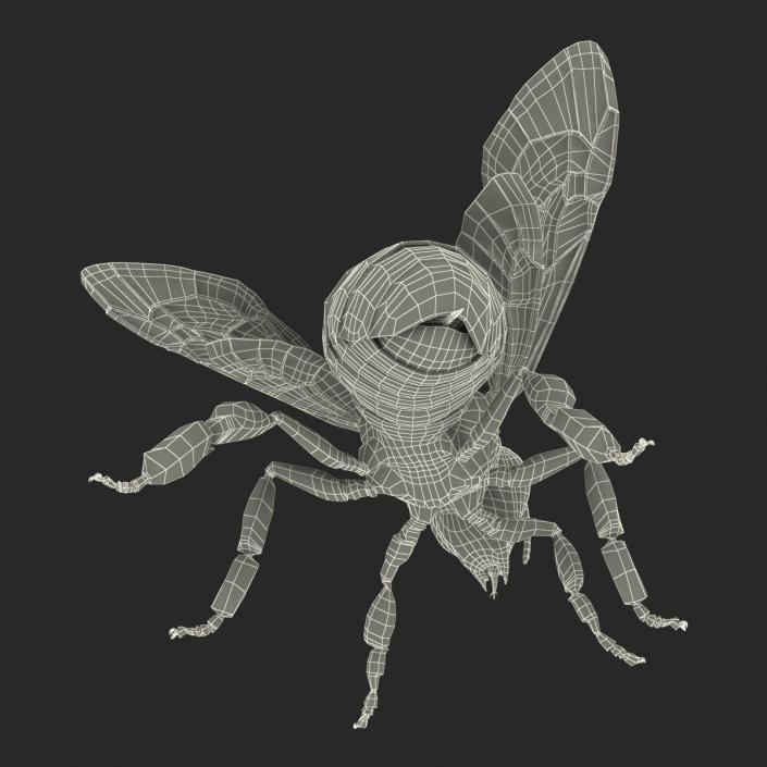 3D model Bee Pose 2