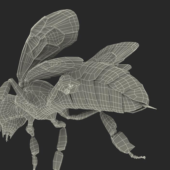 3D model Bee Pose 2