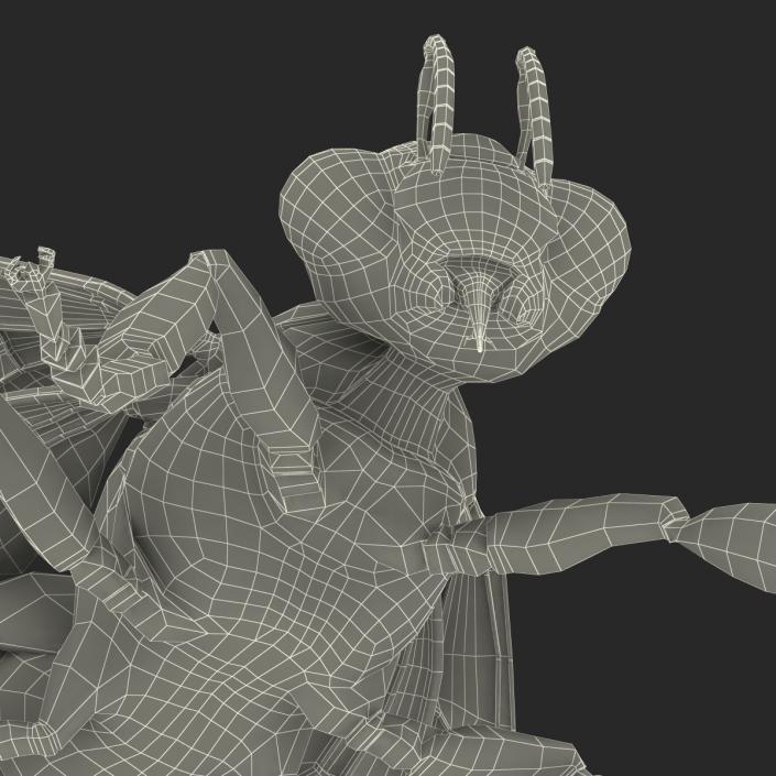 3D model Bee Pose 2