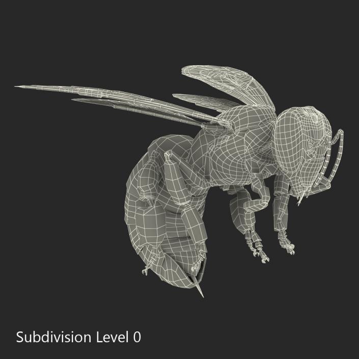 3D model Bee Pose 3