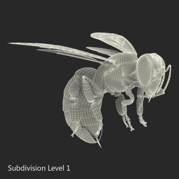 3D model Bee Pose 3