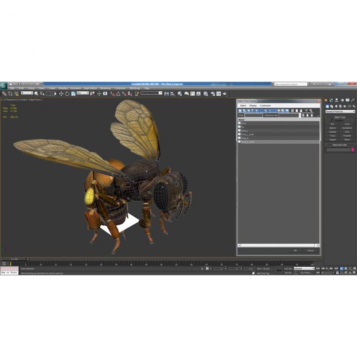 3D model Bee Pose 3