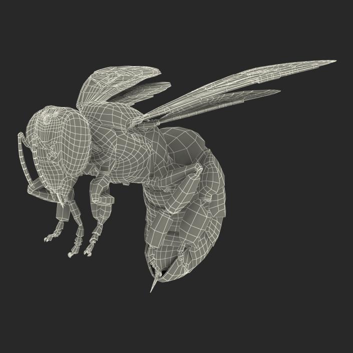 3D model Bee Pose 3