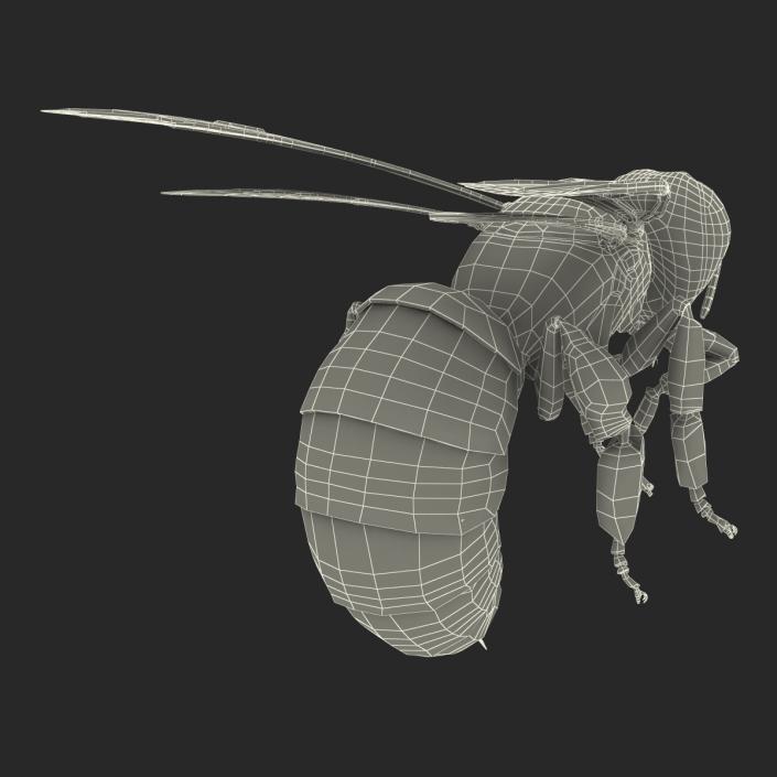 3D model Bee Pose 3