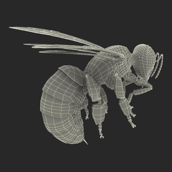 3D model Bee Pose 3