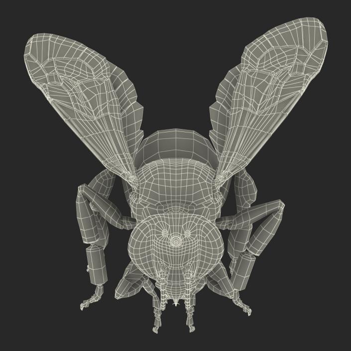 3D model Bee Pose 3