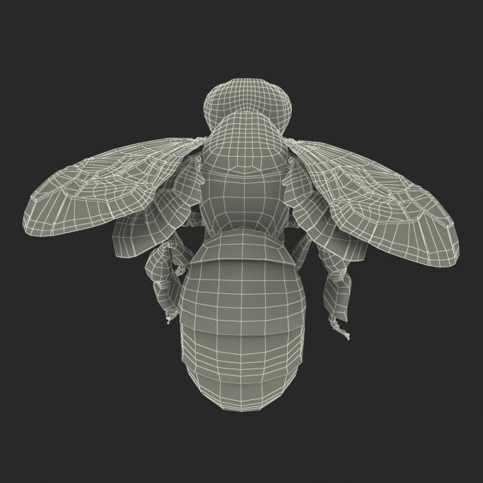 3D model Bee Pose 3