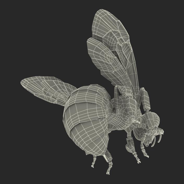 3D model Bee Pose 3