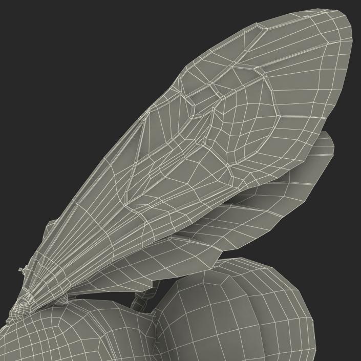 3D model Bee Pose 3