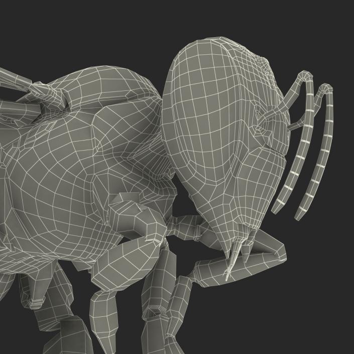 3D model Bee Pose 3