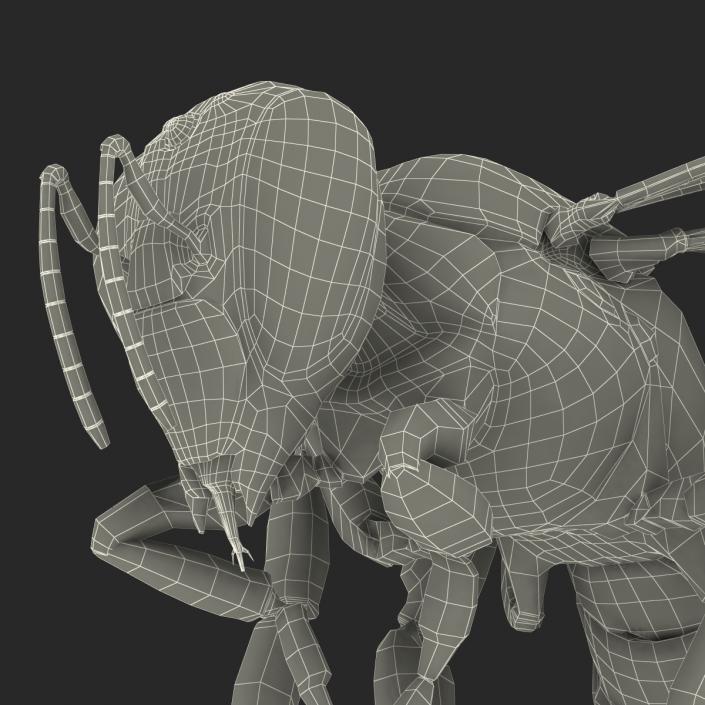 3D model Bee Pose 3