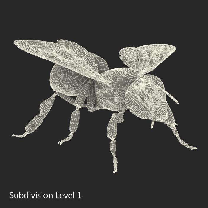 3D model Bee Pose 4