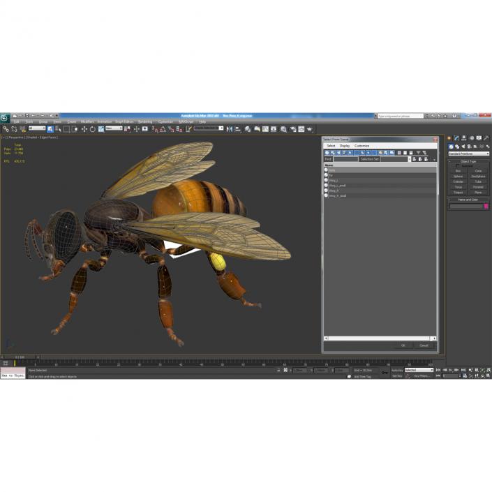 3D model Bee Pose 4