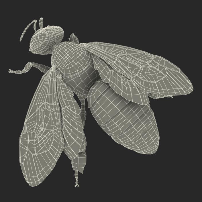 3D model Bee Pose 4