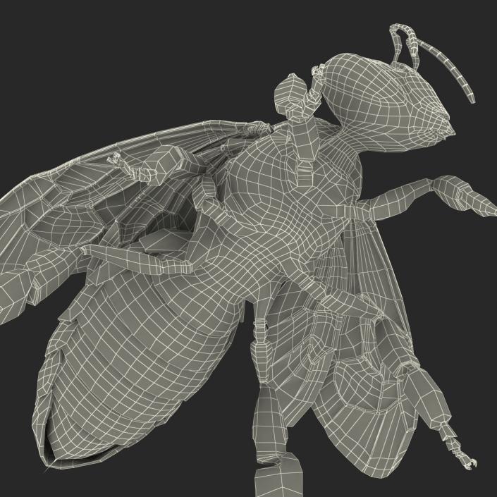 3D model Bee Pose 4