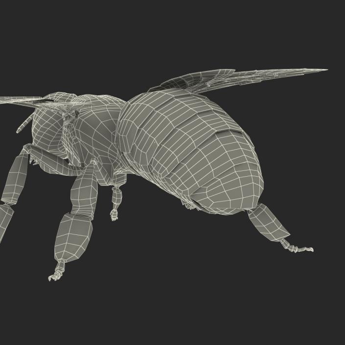 3D model Bee Pose 4