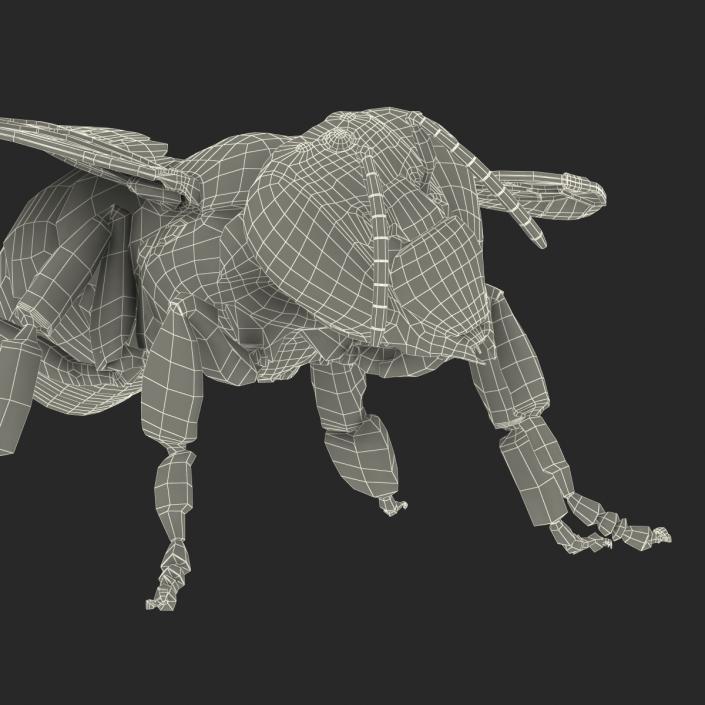 3D model Bee Pose 4