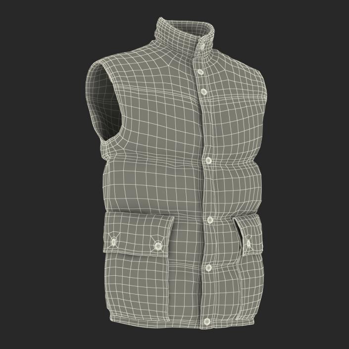 Camping Vest 3D