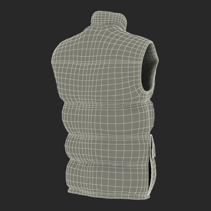 Camping Vest 3D