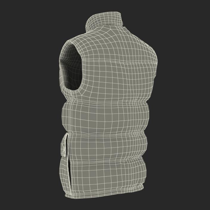 Camping Vest 3D