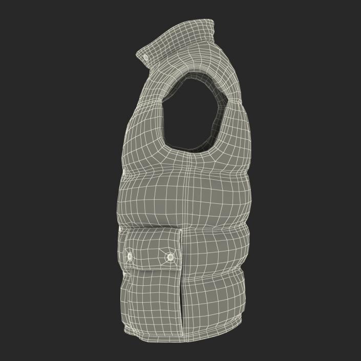 Camping Vest 3D