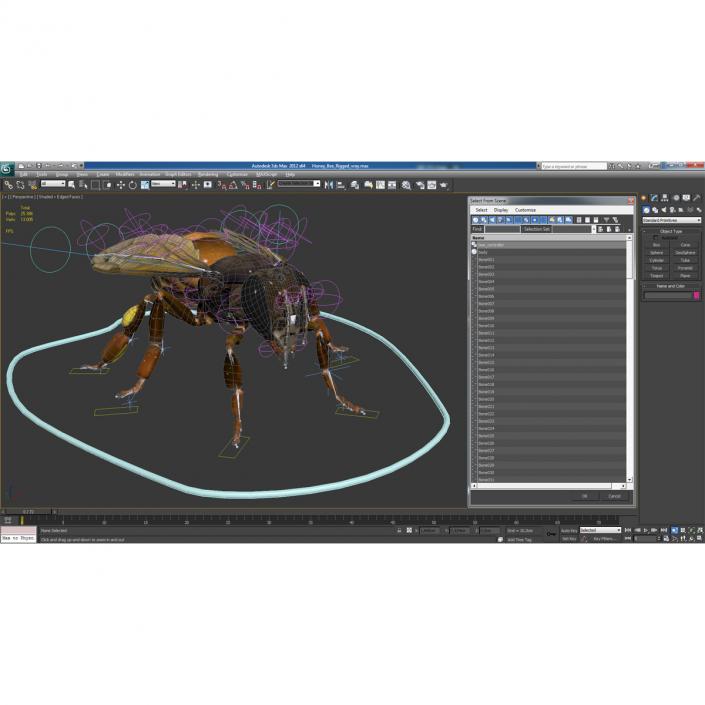 3D Honey Bee Rigged