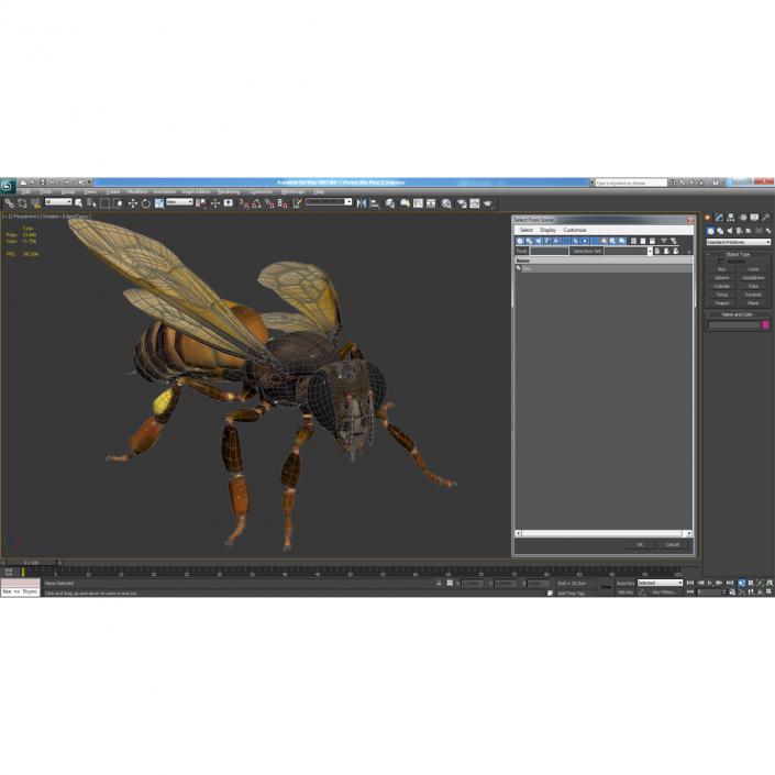 3D Honey Bee Pose 2