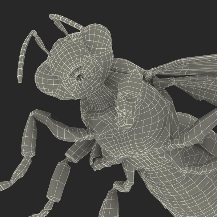 3D Honey Bee Pose 4