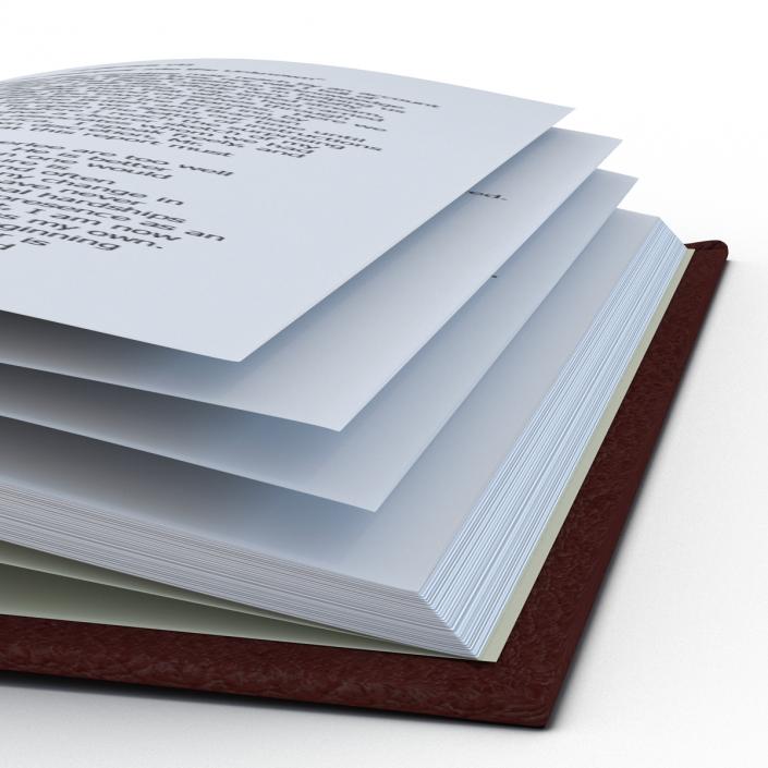 Open Book 3D model