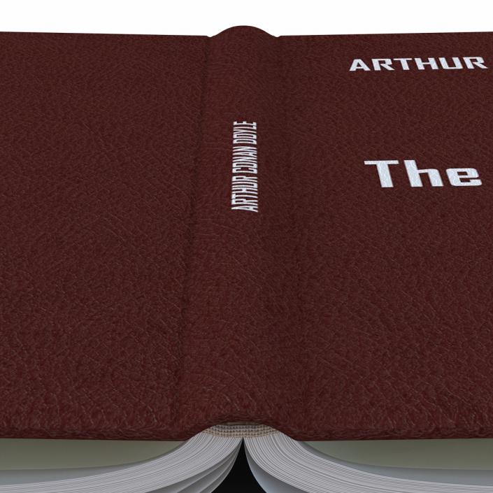 Open Book 3D model