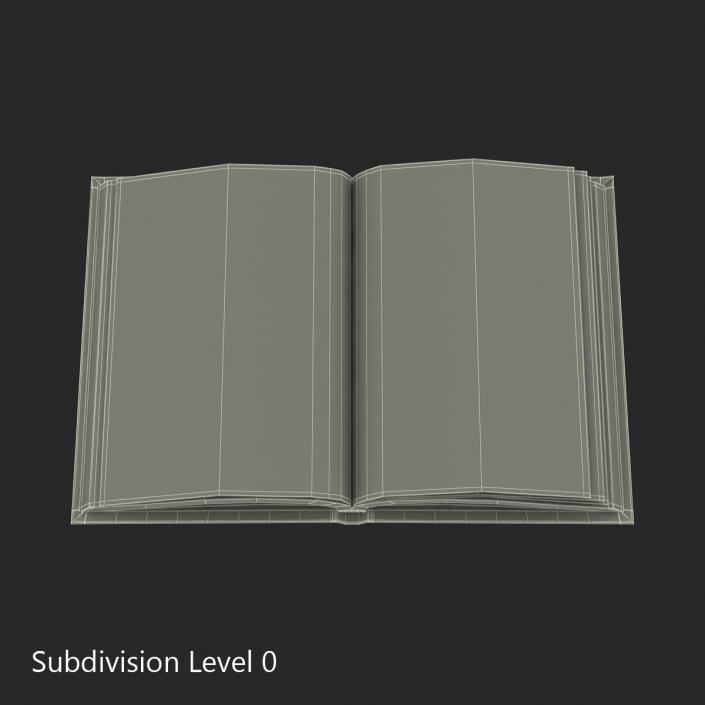 Open Book 3D model