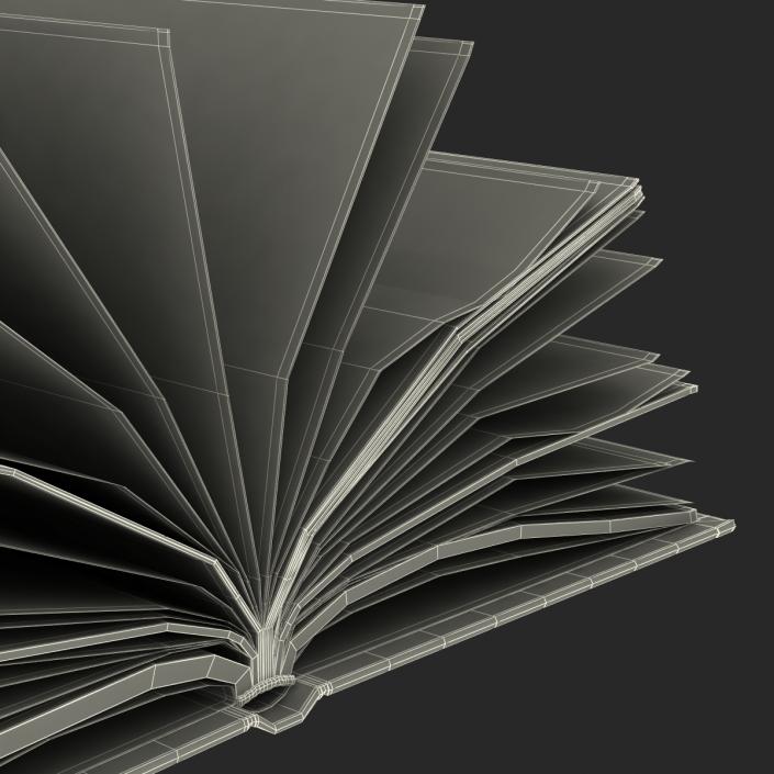 3D Open Book 4