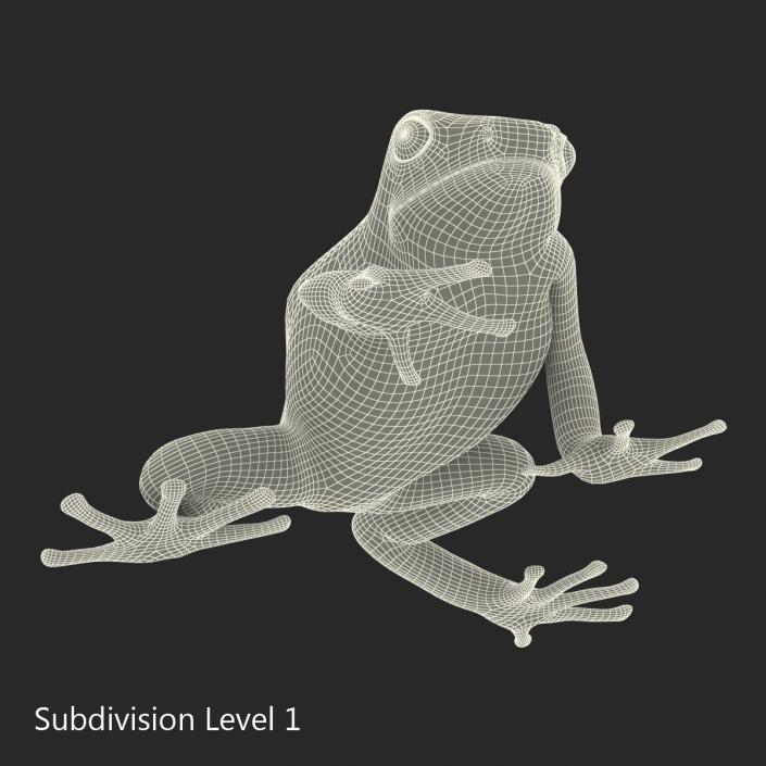 3D Poison Dart Frog Pose 3 model