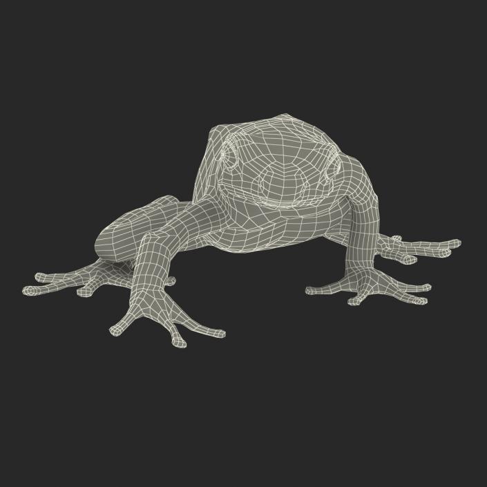 3D Poison Dart Frog Pose 3 model