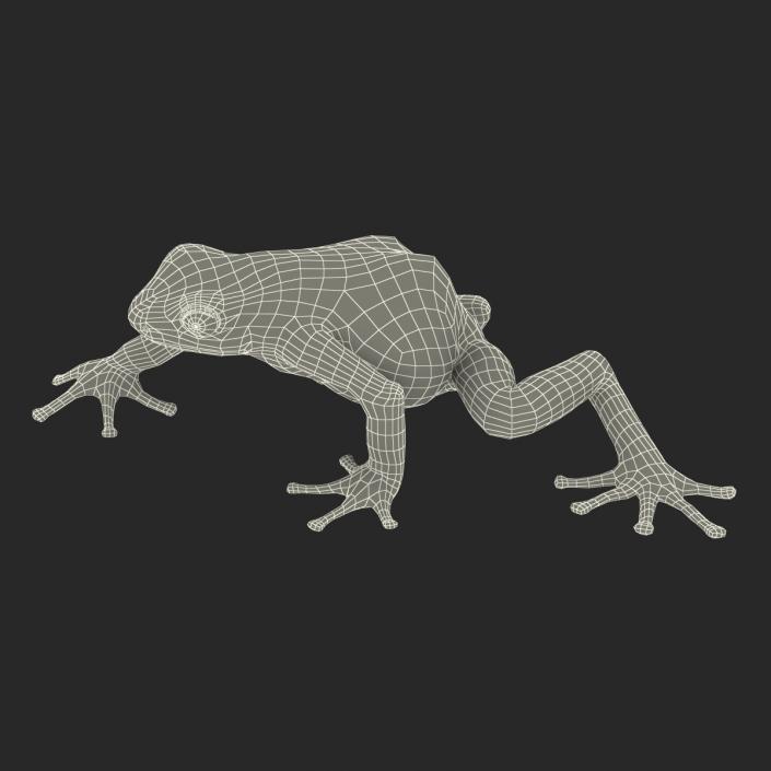 3D Poison Dart Frog Pose 3 model