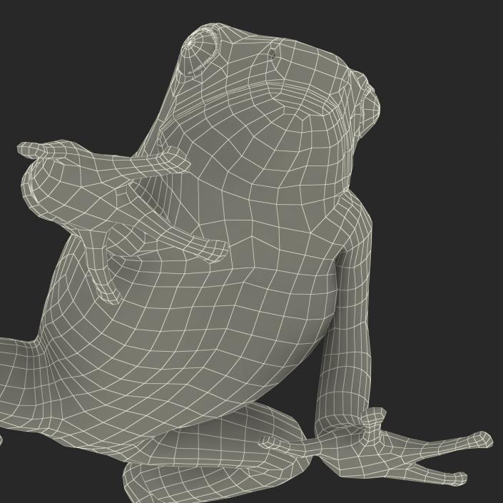 3D Poison Dart Frog Pose 3 model