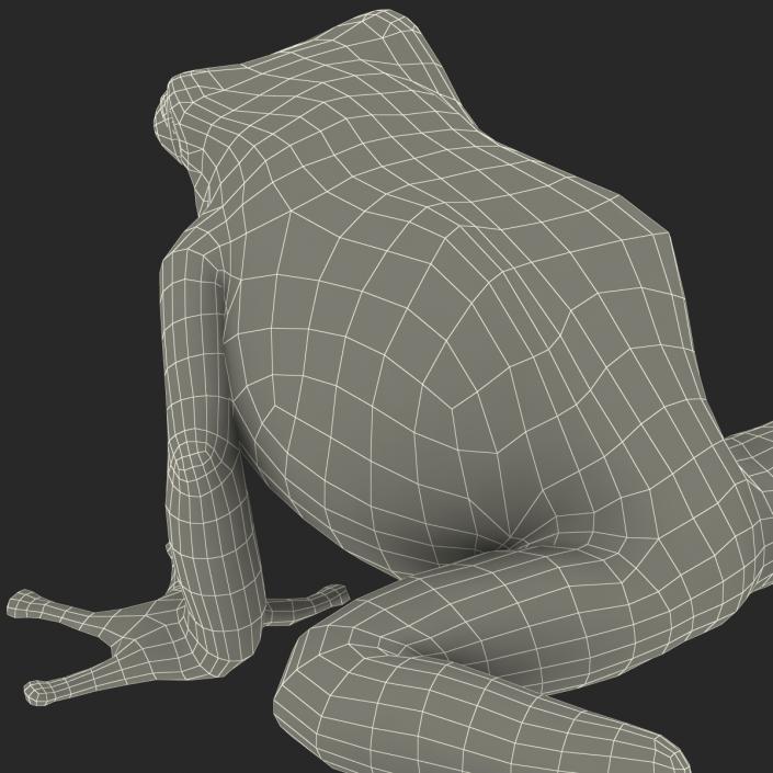 3D Poison Dart Frog Pose 3 model