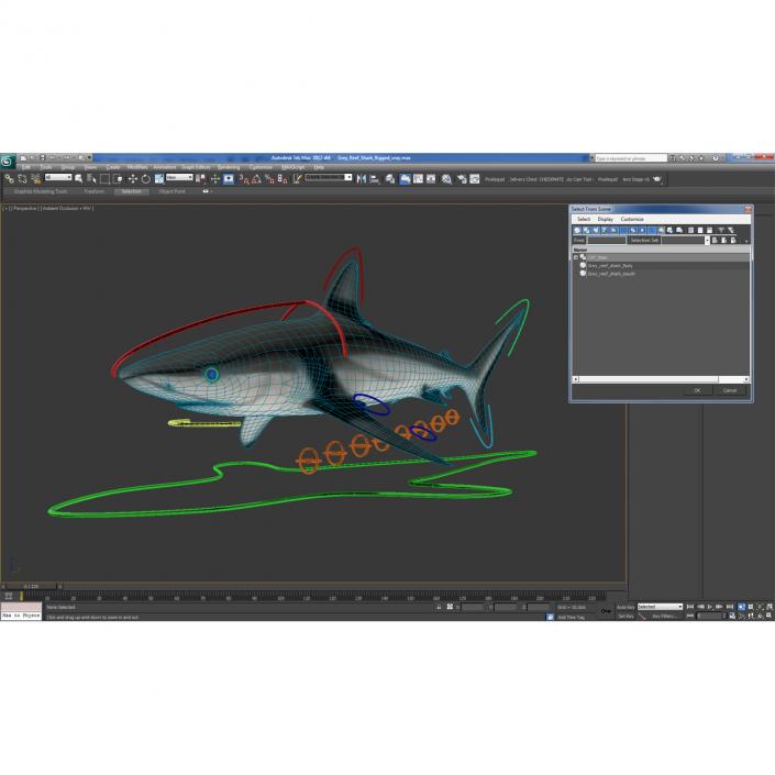 Grey Reef Shark Rigged 3D