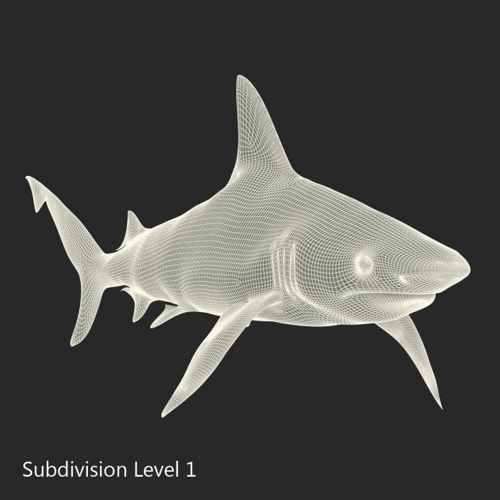 Blacktip Reef Shark 3D model