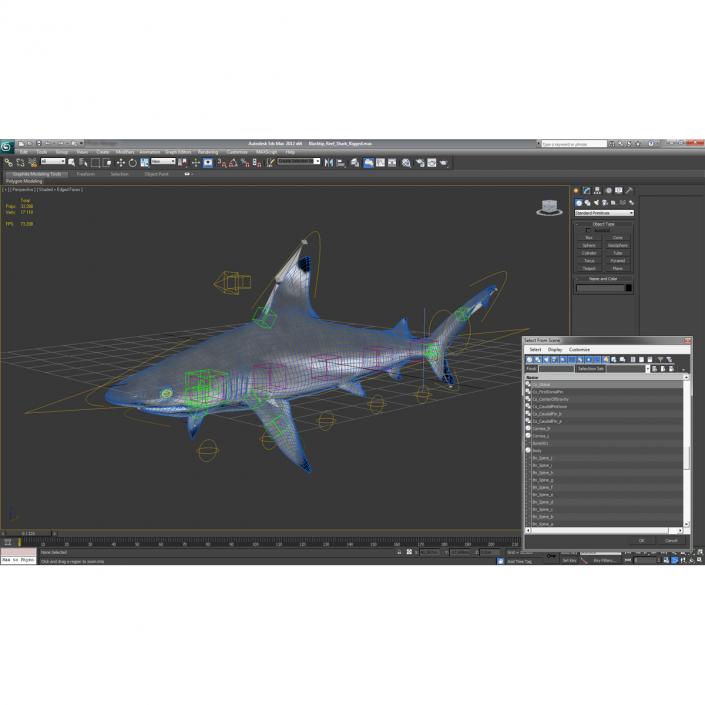 3D Blacktip Reef Shark Rigged