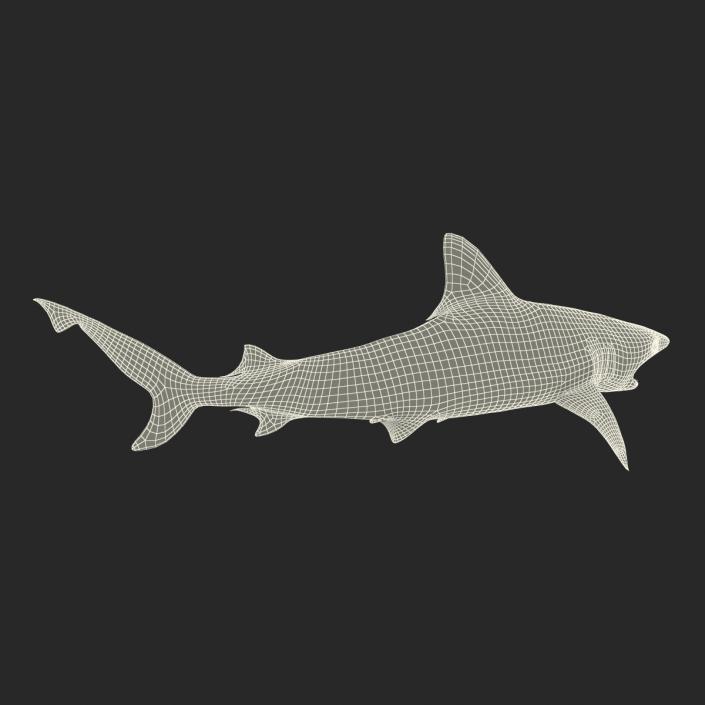 3D Blacktip Reef Shark Rigged