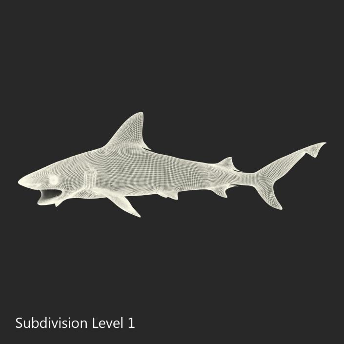 3D Blacktip Reef Shark Pose 2