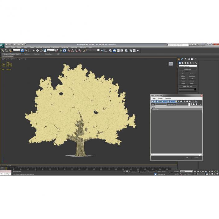 3D Red Oak Old Tree Summer model