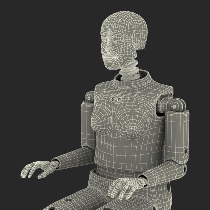 3D Female Crash Test Dummy model