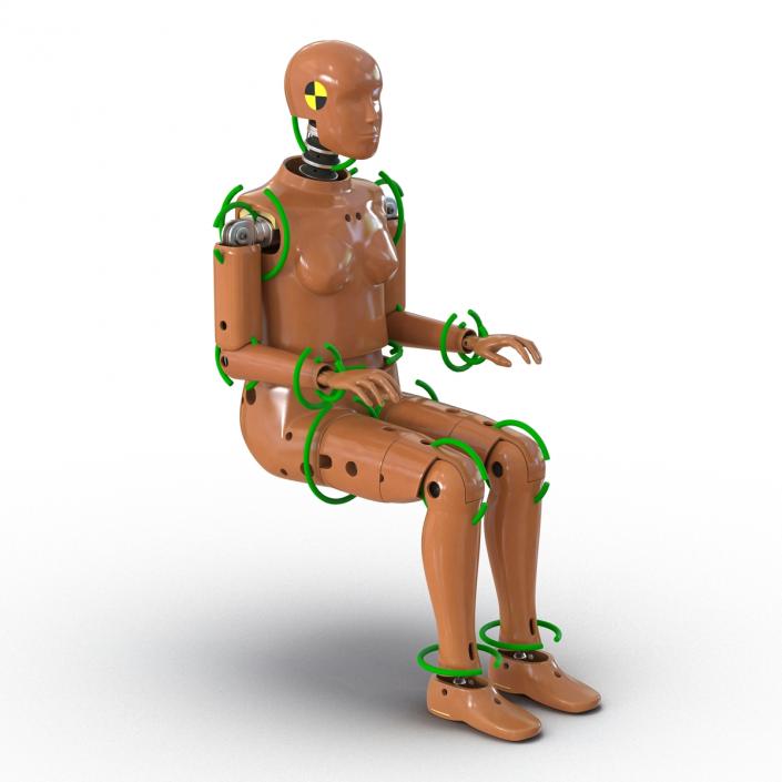 3D model Female Crash Test Dummy Rigged