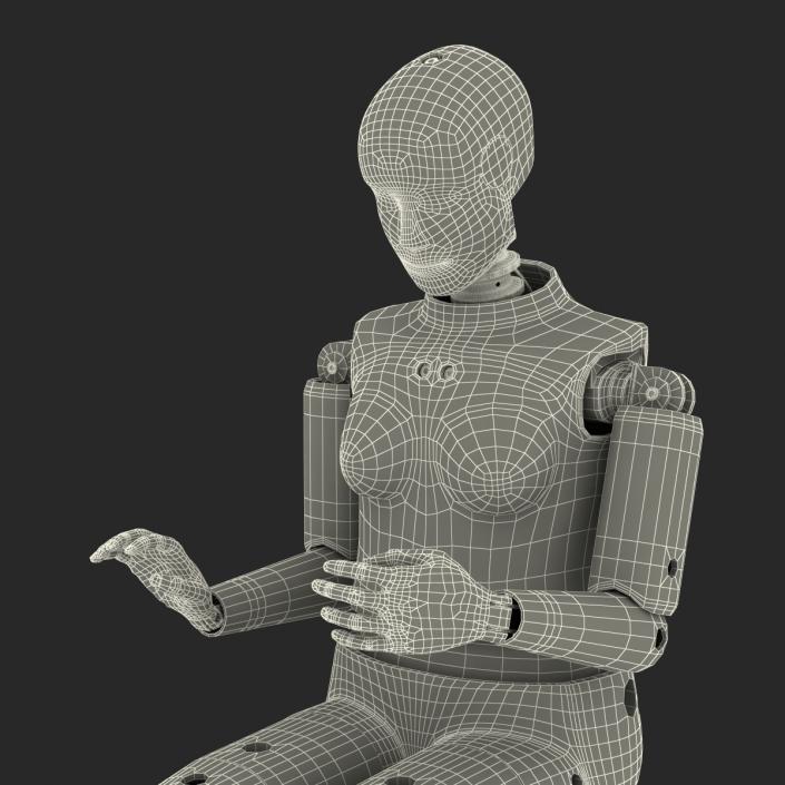 3D model Female Crash Test Dummy Rigged